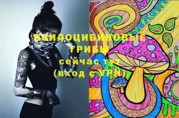 a pvp Абдулино