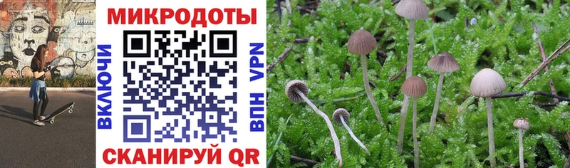 купить наркотик Екатеринбург Псилоцибиновые грибы мухоморы